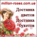 Villion-roses.com.ua